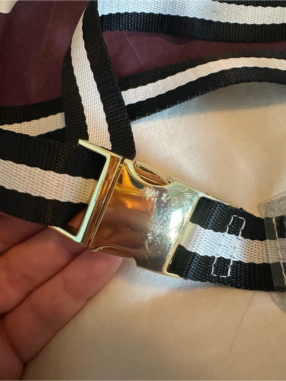 Stoney Clover Lane Clear fanny pack crossbody belt bag w/ black and white strap